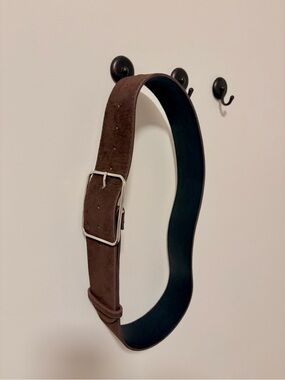 Edikted ~ Brown Suede Woman’s Belt - Classic Leather & Silver Buckle